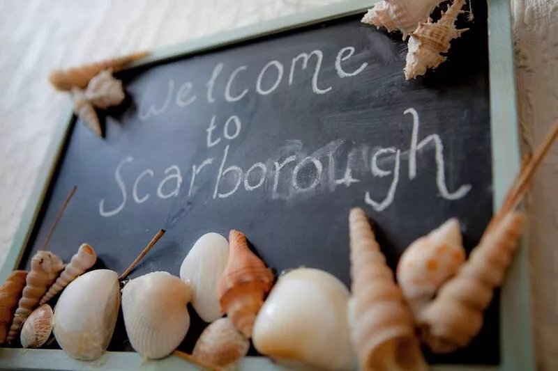 Scarborough Central House - Pet friendly-Perfect for couples- WIFI-Free Parking