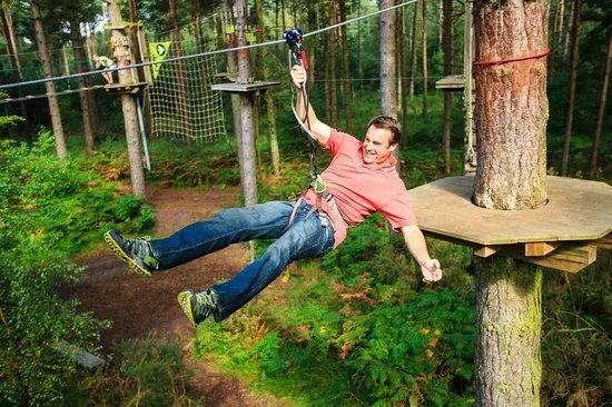 Go Ape Rivington