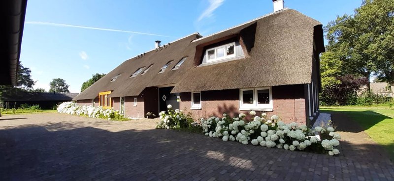 De WiedenWeide