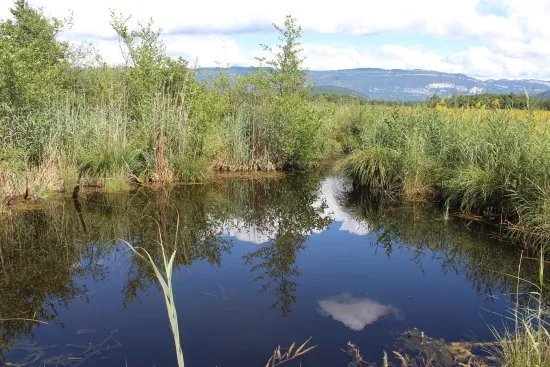 Reserve Naturelle du Marais de Lavours