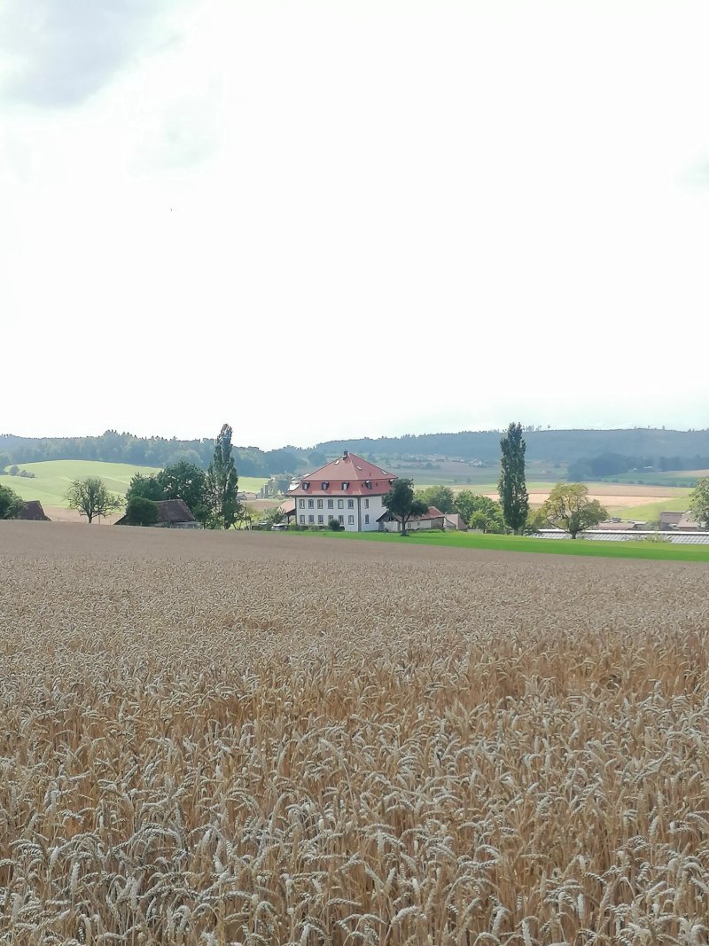 Le Relais du Chateau Monney