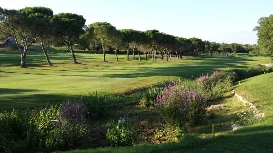 Golf Country club de Cannes Mougins