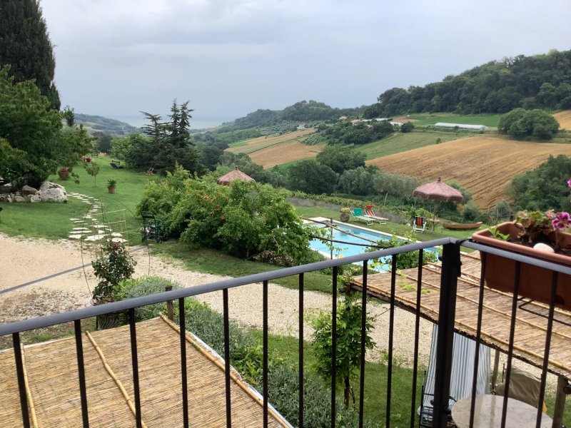 GaeLeon Campofilone