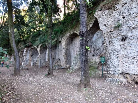 Villa di Manlio Vopisco