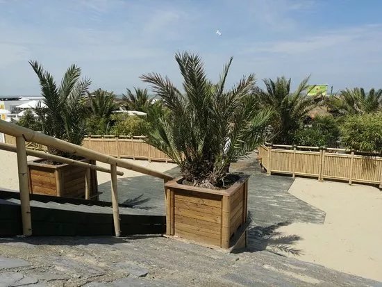 Bamboo Beach