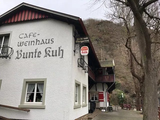 Bunte Kuh
