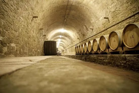 Conti Faina Winery