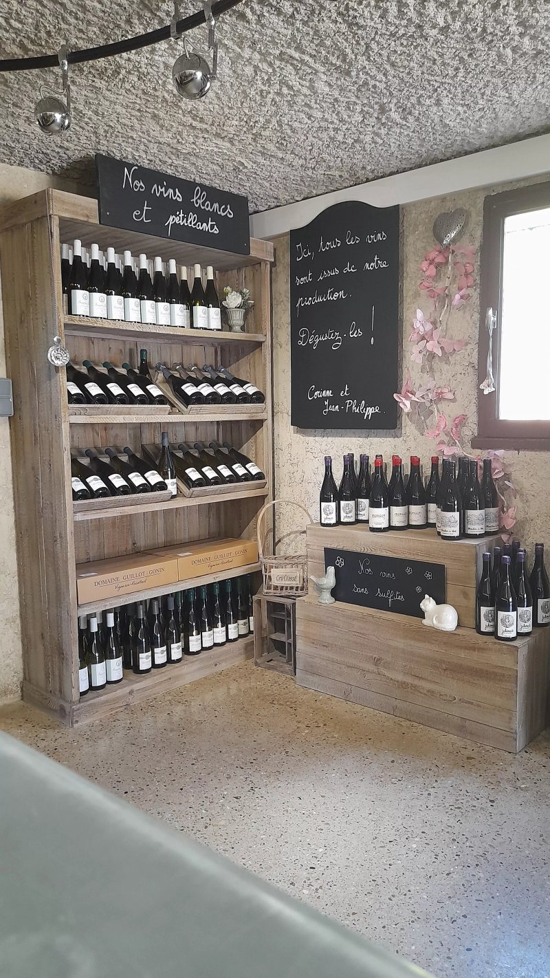 Domaine Guillot-Gonin - Le 12 Avenue des Vins
