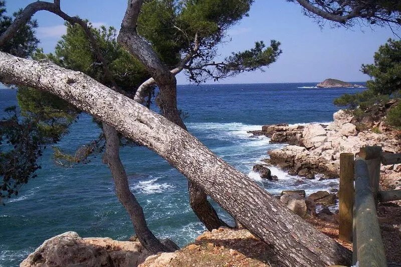 APARTMENT 2 ROOMS-52M2 for 4 people BORD DE MER 3 star