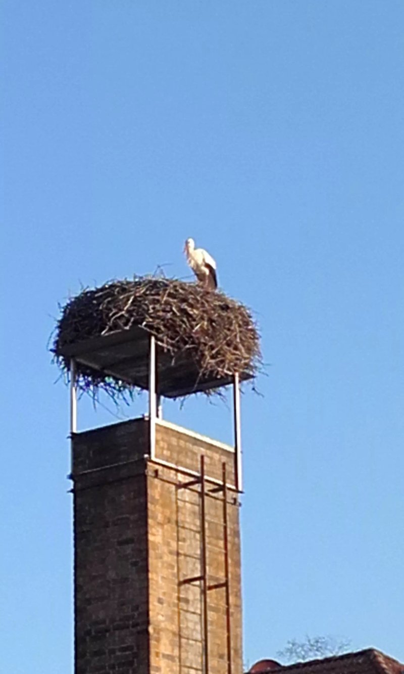 Jugendherberge Luebben