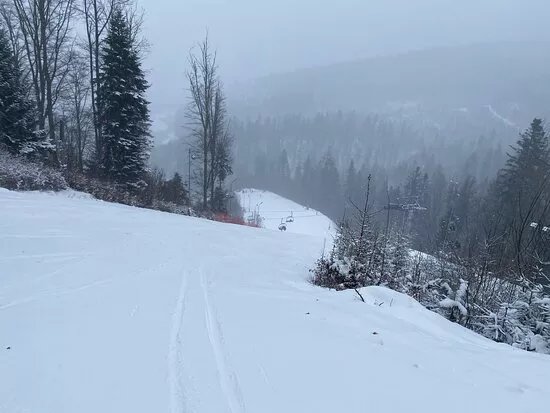 Partia De Ski Soimul Gura Humorului