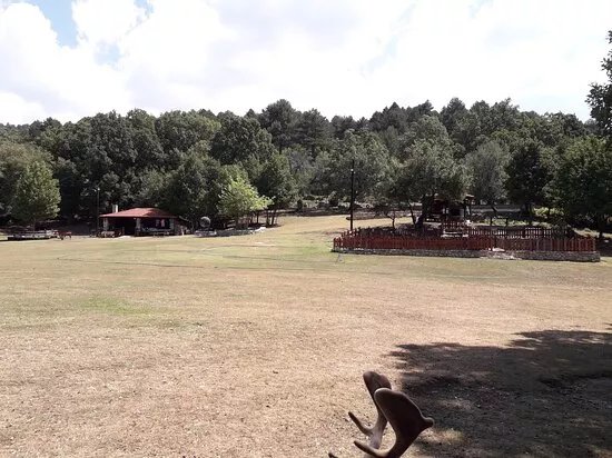 Deer Park Of Agios Panteleimon Agios Dimitrios Kozani
