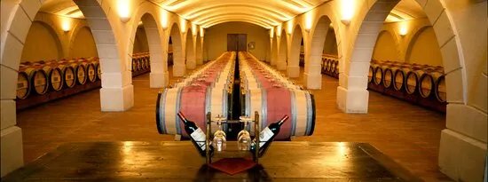 Chatonnet Vineyards