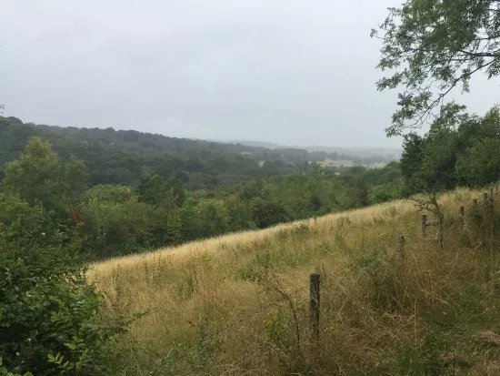 Hutchinson's Bank