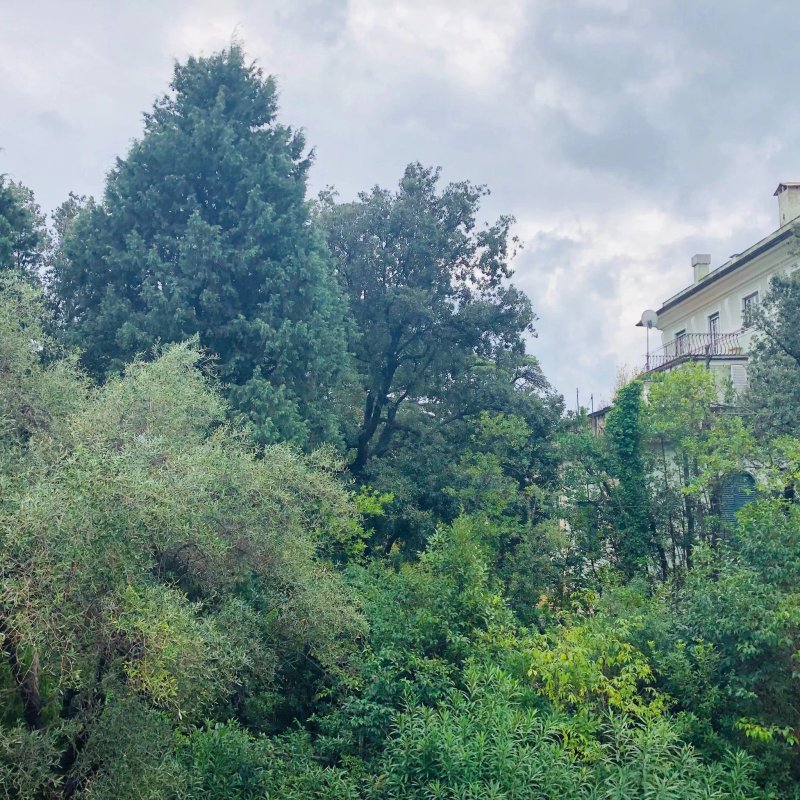B&B Villini Albaro