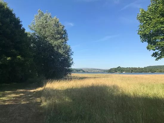 Blagdons Meadow