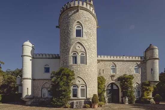 Azeite Casa Anadia - Olive Oil & Tours