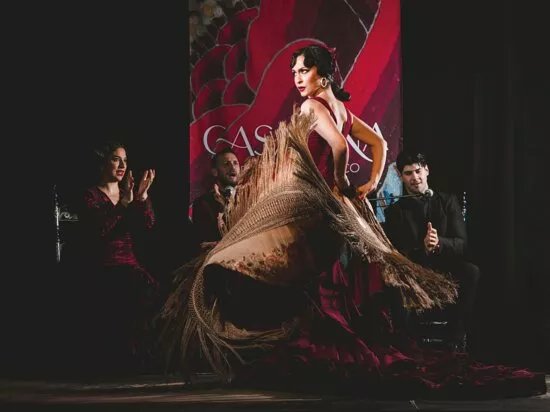 Tablao Flamenco Casa Ana Granada