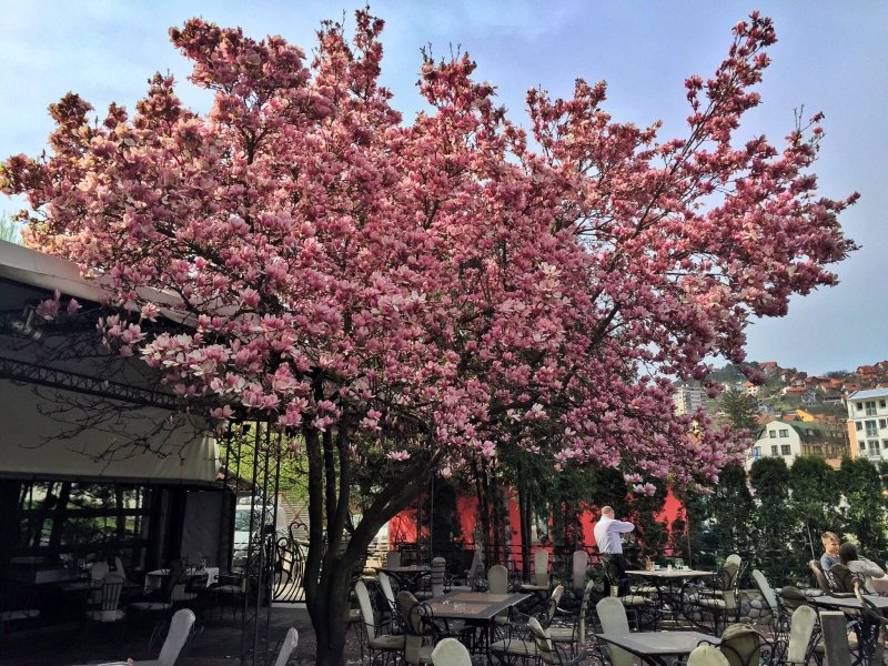 Restoran Tabana