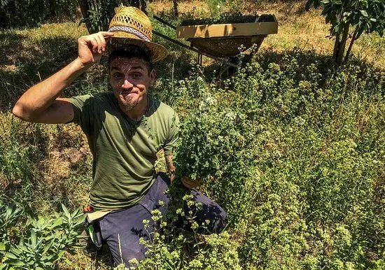 il Giardino sotto il naso