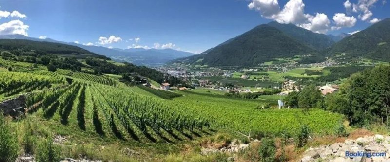 Appartments Obst & Weingut SoLaWi Buhlerhof