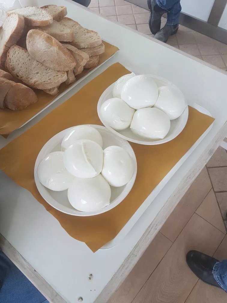 Lo spicchio