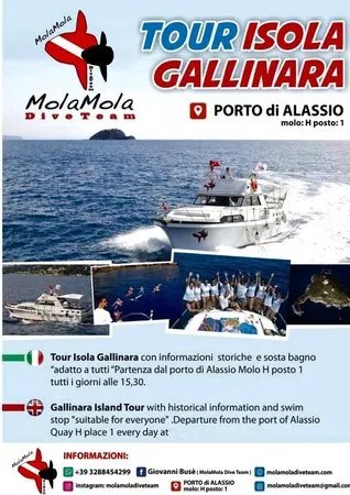 Isola Gallinara Tour e whale watching