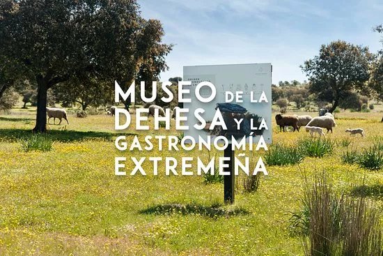 Gastro Dehesa