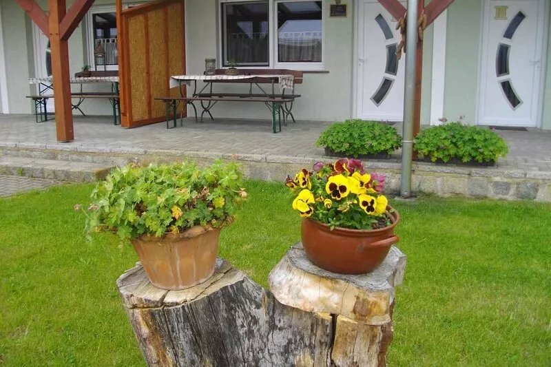 Holiday apartment on a horse farm
