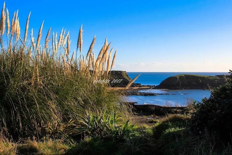 Peaceful coastal cottage in the sunny south east