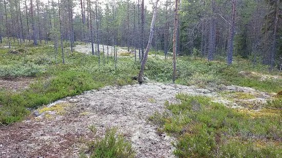 Seinavuori Gorge