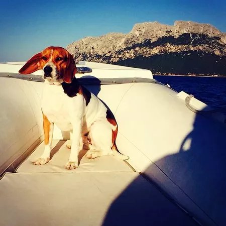 Usai Rent Boat Noleggio Gommoni Sardegna