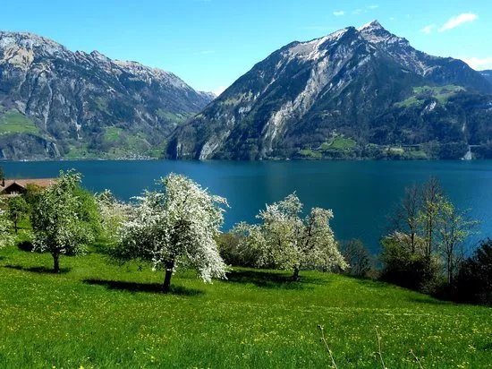 The Swiss Path