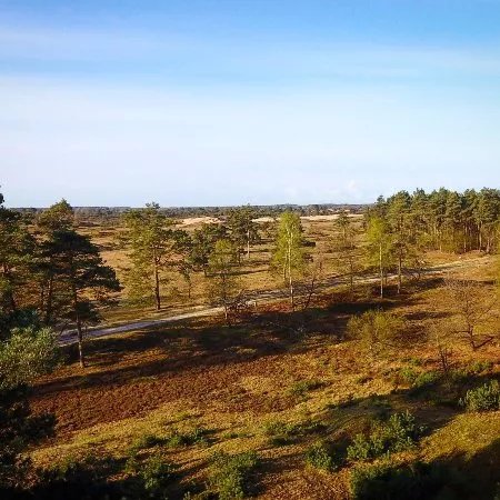 Nationaal Park Drents-Friese Wold