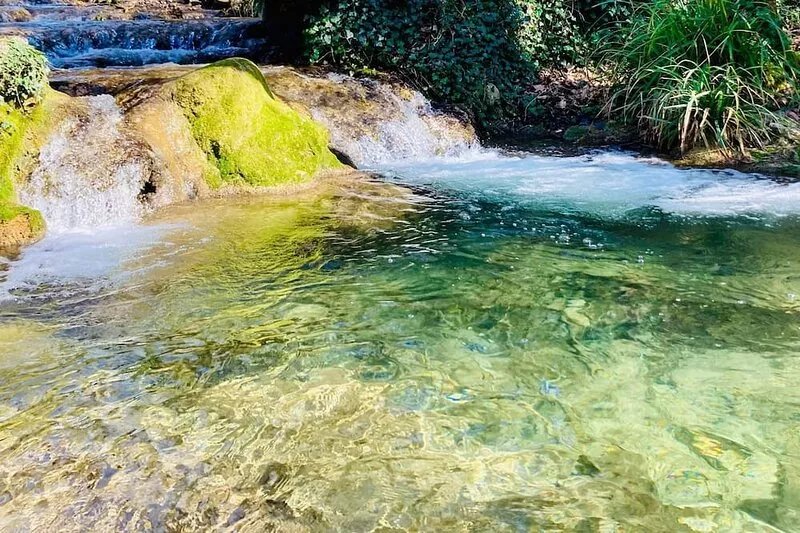 Au Coeur de la Forêt en Drôme Provençale - swimming pool