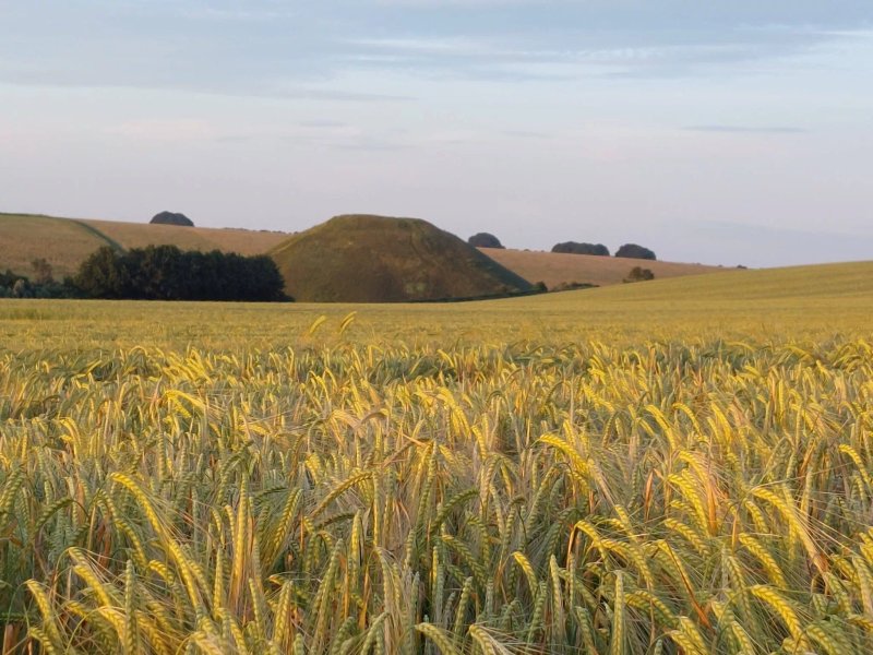 The Farm at Avebury