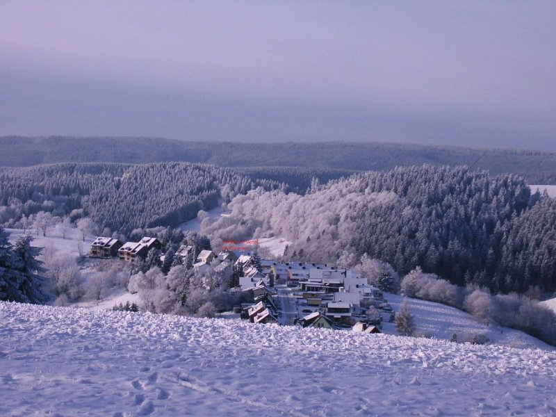 Hoffmanns Hotel Waldfrieden (garni)