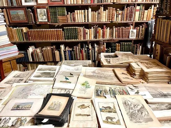 Libreria Antiquaria Magnanet