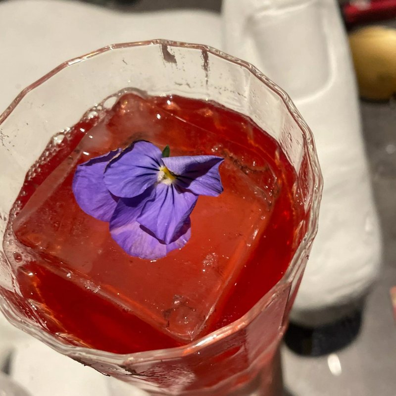 Animo cocktail bar