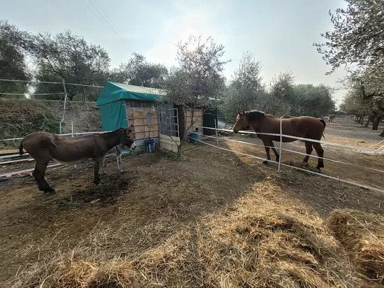 Azienda Agricola I Roccoli