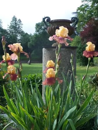 Les Vins Domaine du Closel