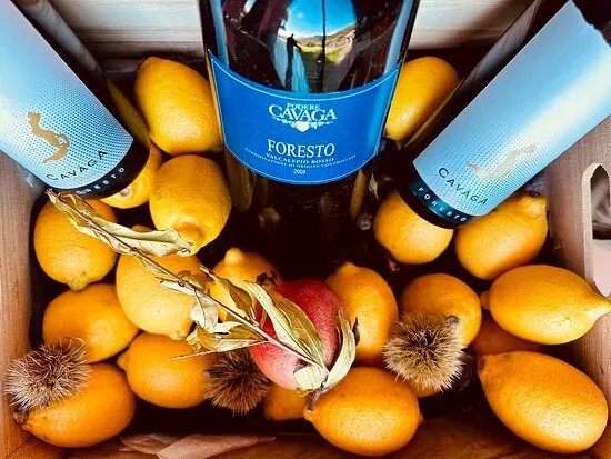 Agriturismo Podere Cavaga Lago d'Iseo Agribio Winery