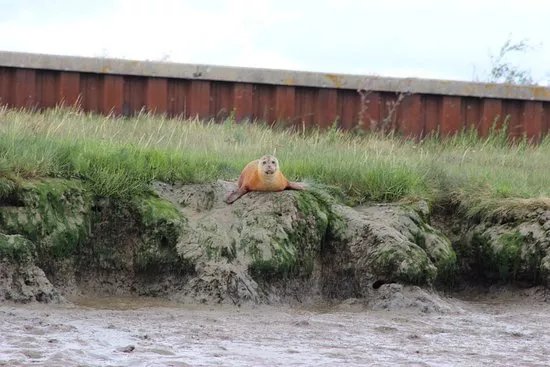 Wildlife Boat Trips