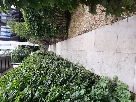 Salter's Hall Garden