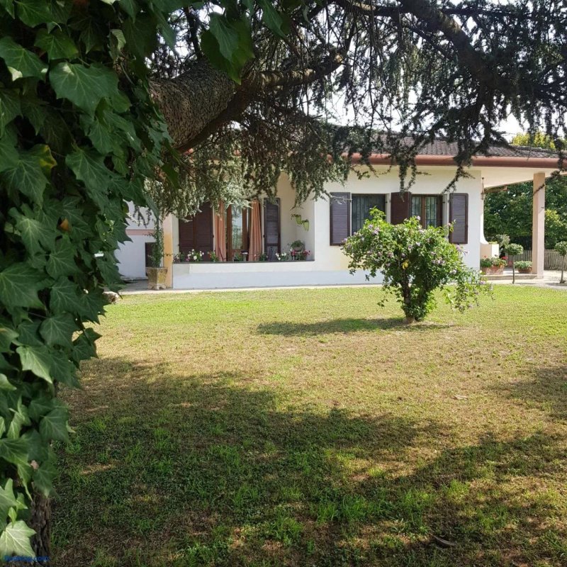 B&b Il Cedro Argentato