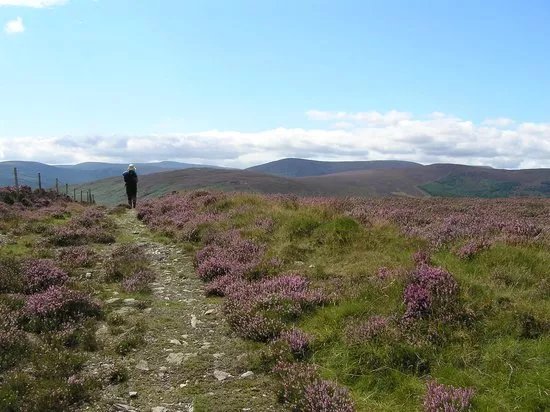 Wicklow Scenic Walks