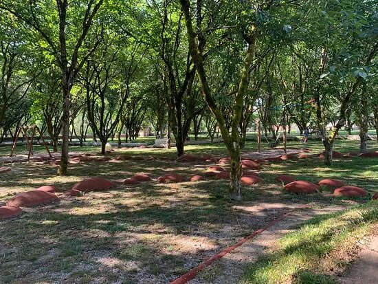 Parque Urbano Das Nogueiras