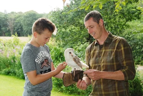 Cumberland Bird Of Prey Centre