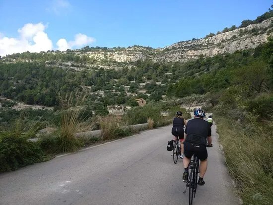 Ciclofree