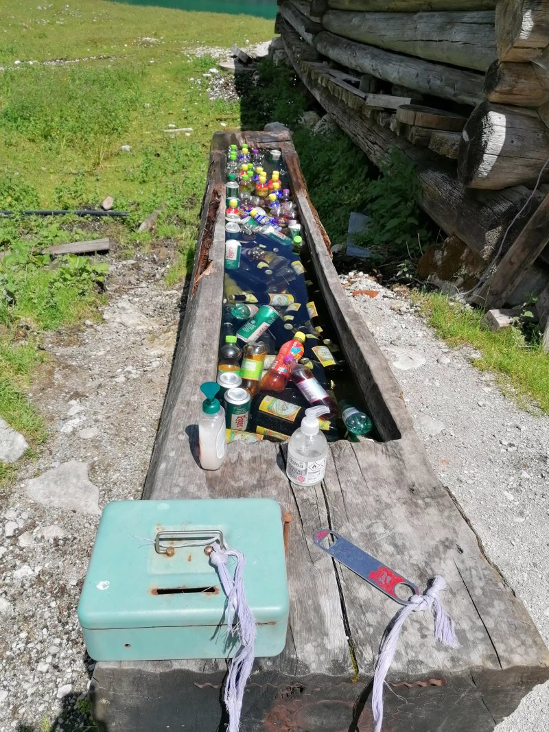 Hohe Holzmeisteralm